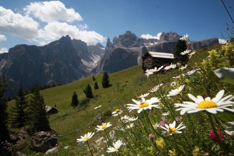 Bild: Colfosco, Alta Badia