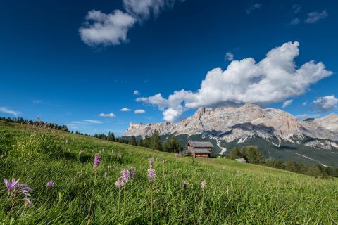 Bild: Colfosco, Alta Badia